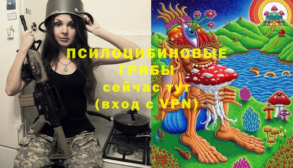 мяу мяу мука Абинск