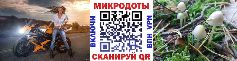 наркота  Зубцов  Псилоцибиновые грибы прущие грибы 